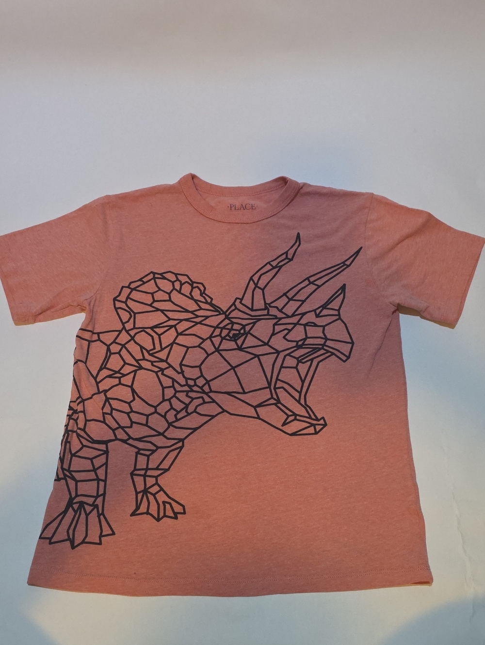 The Children's Place Coral Short Sleeve Tee with Black Geometric Triceratops